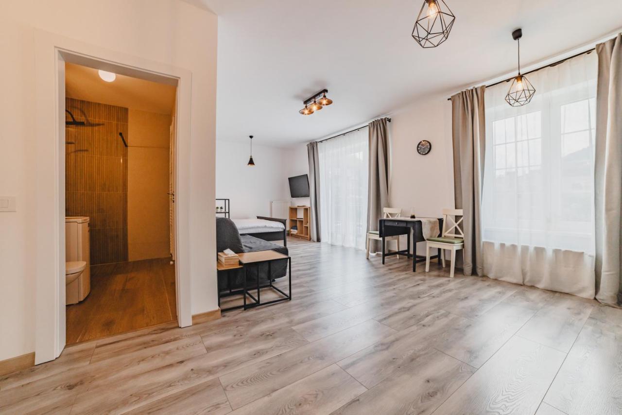 Schiller Studio 64 - Free Private Parking Brasov Luaran gambar