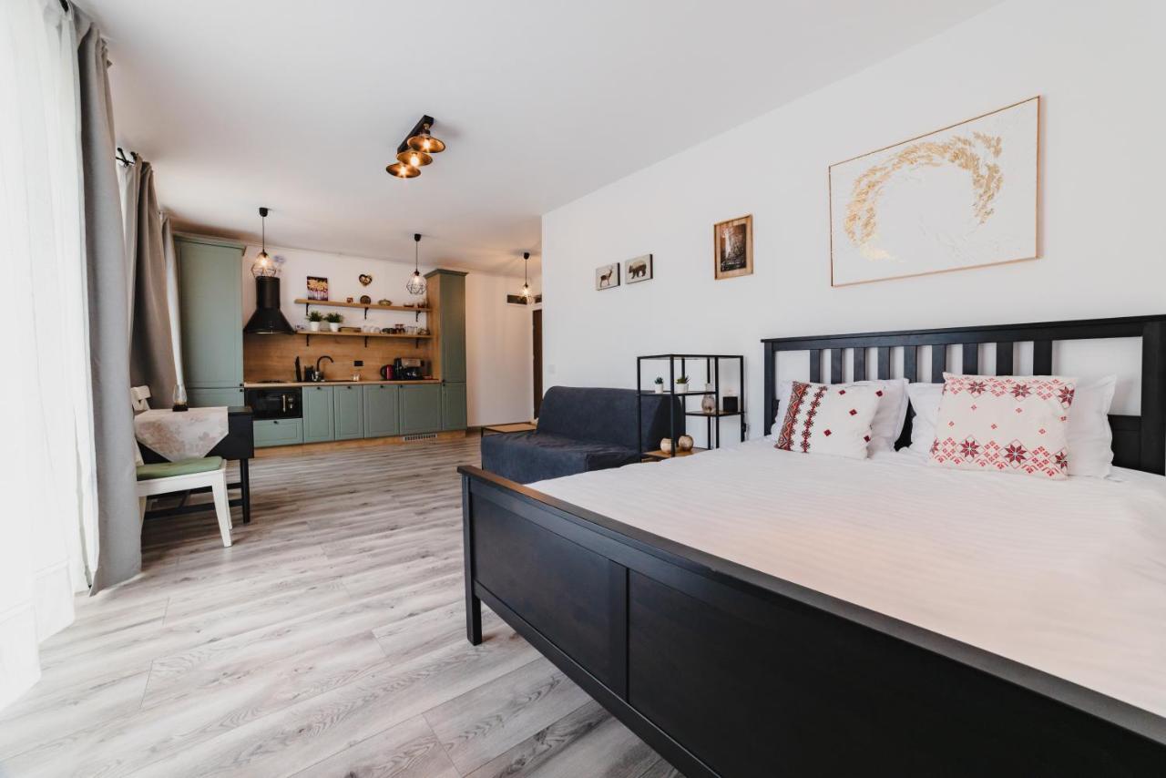 Schiller Studio 64 - Free Private Parking Brasov Luaran gambar