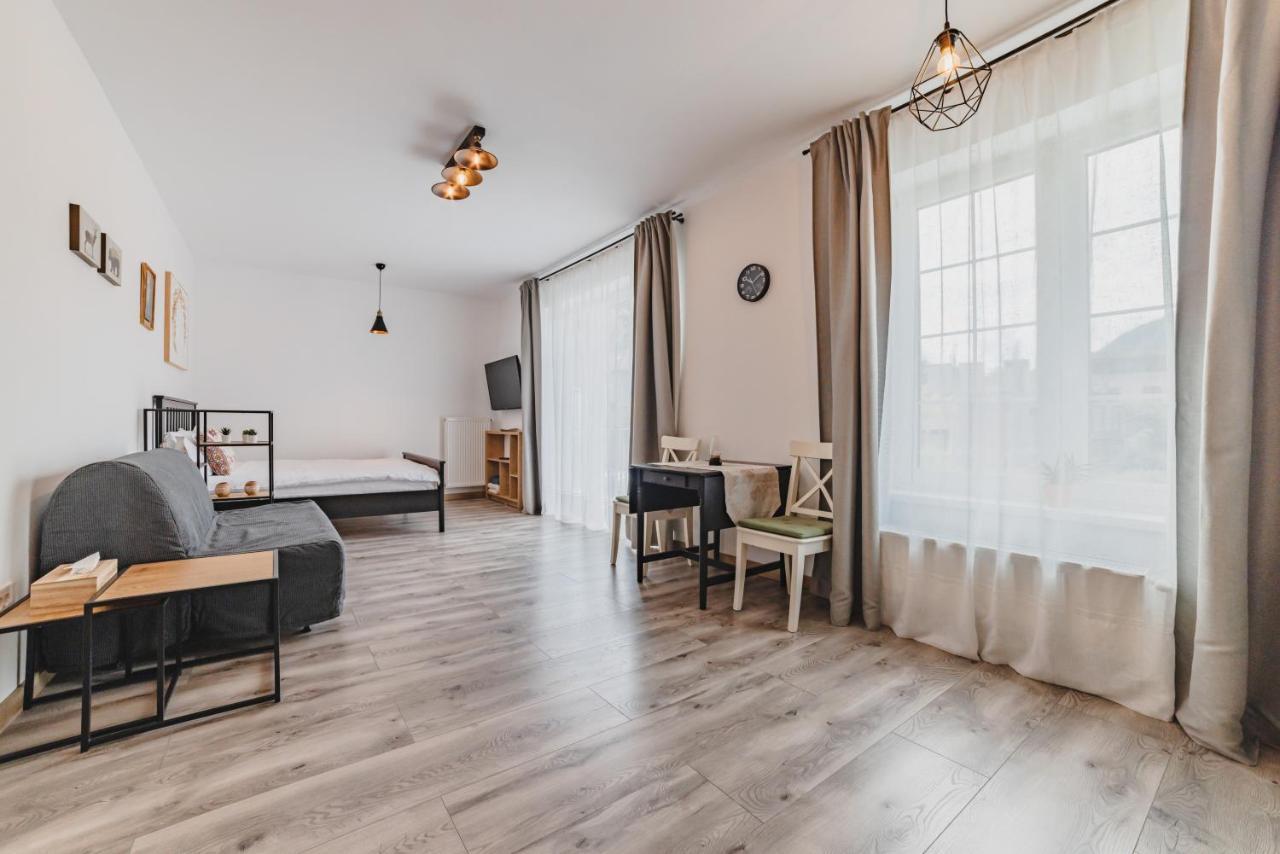 Schiller Studio 64 - Free Private Parking Brasov Luaran gambar